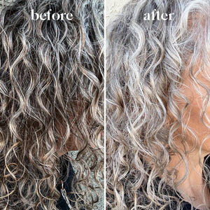 Color-Treated & Grey Hair Purple Toning Shampoo & Conditioner Combo